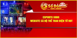Esports Sodo – Website Cá Độ Thể Thao Điện Tử Hot
