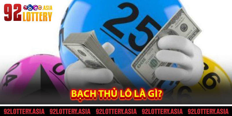 Bạch thủ lô là gì?
